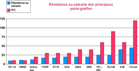 calcaire